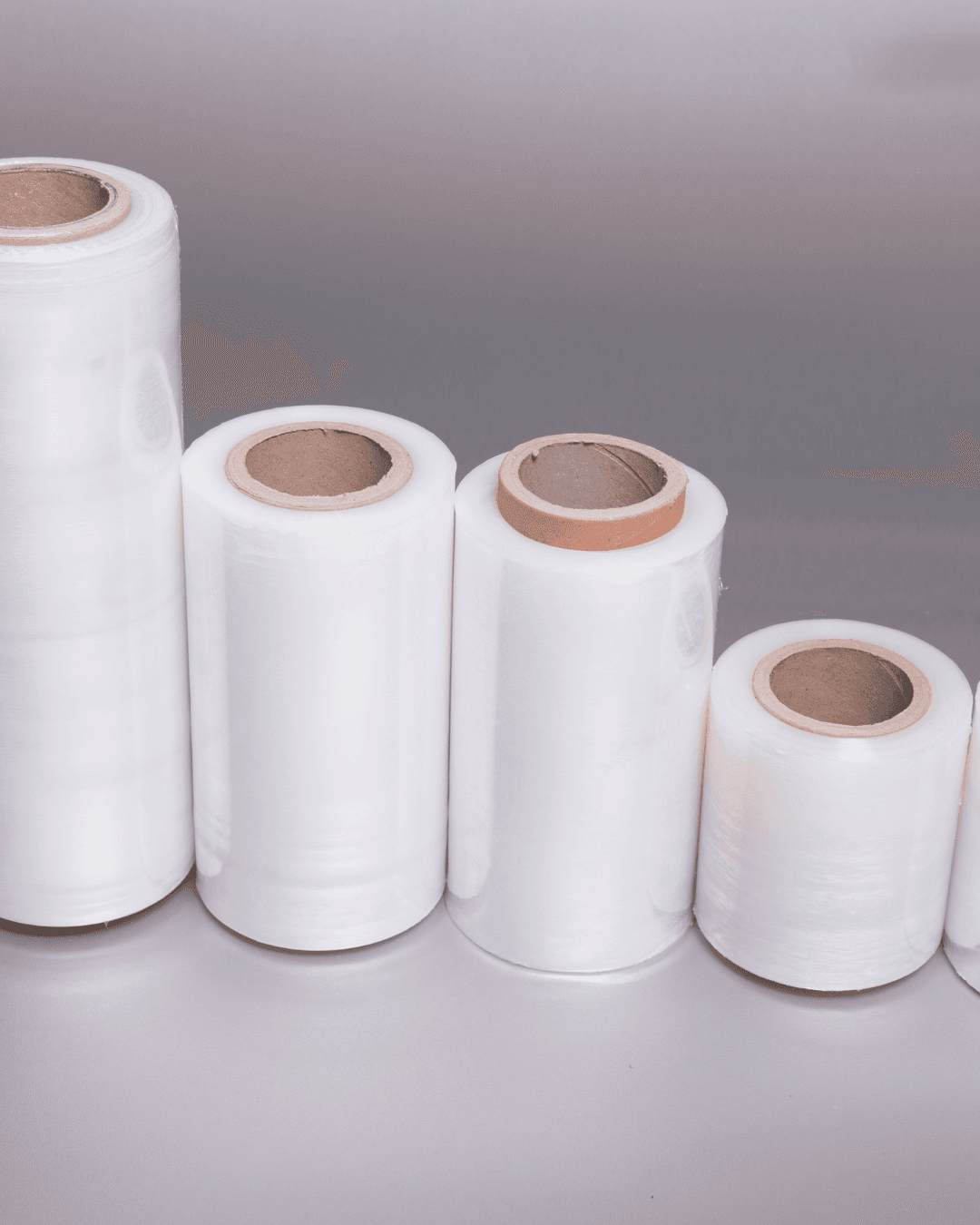 Food Bag Nylon Roll